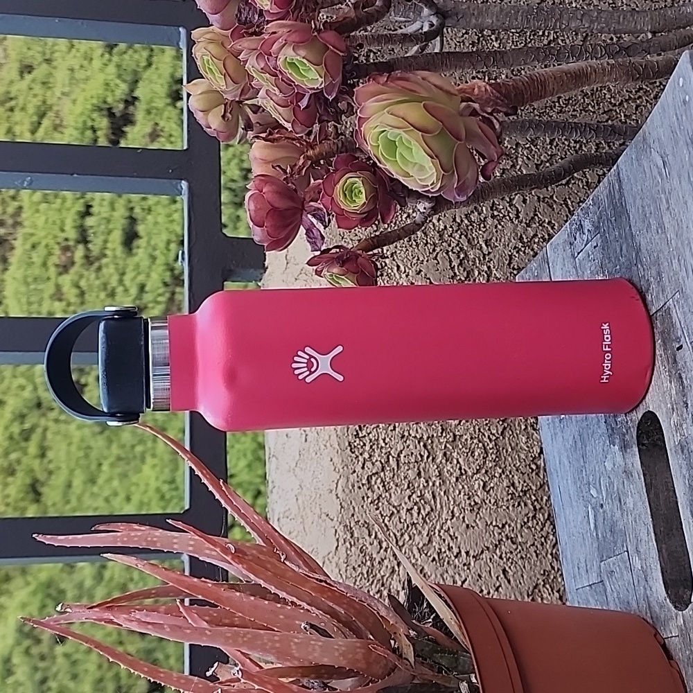 Hydroflask Pink 24oz